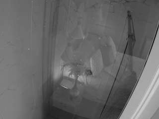 voyeurcam casa salsa bathroom 12